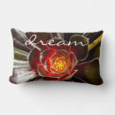 Search for cactus pillows Cacti
