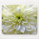 Search for chrysanthemums mousepads Pretty