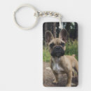 Recherche de bulldog porteclés Animal