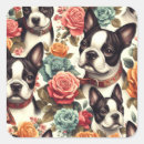Search for boston terrier stickers Retro