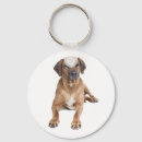 Search for rhodesian ridgebacks keychains Puppies
