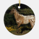 Search for appaloosa horse ornaments Standing