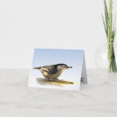 Search for nuthatches cards Animal