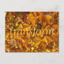 Recherche de transformer cartes postales Nature