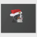 Search for bernese mountain dog christmas wrapping paper Animal