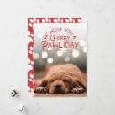 Search for woof christmas cards Modern