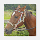 Recherche de camper magnete Cheval