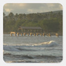 Search for near Pacific ocean