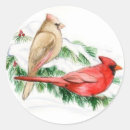 Search for cardinal bird art stickers Wildlife