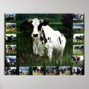 Recherche de réalisme art Animal