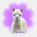 Recherche de alpaga autocollants Animal