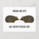 Search for hogs postcards Funny