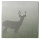 Search for mountain tiles Grey