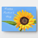 Search for sunflower plaques Nature