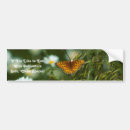 Search for insect bumper stickers Nature