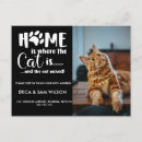 Search for cat lover invitations We have moved