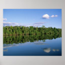 Search for amazon rainforest posters Jungle