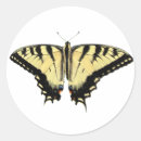 Search for swallowtail butterfly stickers Wings