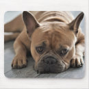 Search for dog mousepads Picture