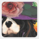 Recherche de cavalier king charles autocollants Dog