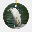 Search for herons ornaments Wildlife