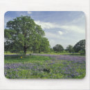 Search for midwest mousepads Countryside