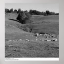 Search for ansel adams fiat lux posters United states