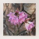 Recherche de amaryllis puzzles Jardin