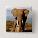 Search for elephant square buttons African