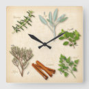 Recherche de herbes horloges Romarin