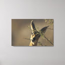 Search for while art Horizontal