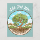 Search for olive tree Nature