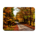 Search for wood magnets Fall