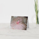 Search for sucks christmas cards Suck plum fairy