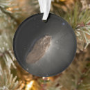 Search for object ornaments Astronomy