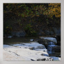 Recherche de de cascade posters Nature