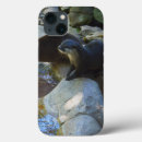 Search for otter cases Wildlife