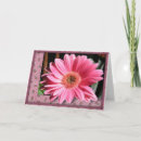 Search for gerber daisies cards Flowers