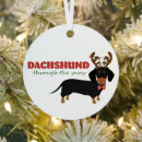 Search for doxie ornaments Sausage dog