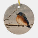 Search for red robin ornaments Snow