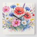 Search for daisy flower clocks Cosmos