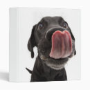 Search for nose binders Puppy