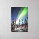 Search for northern lights canvas prints Forest