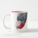 Search for cockatoo mugs Galah