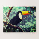 Search for toucan puzzles Wildlife