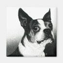Recherche de de boston magnets Illustration