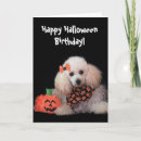 Search for dog halloween cards Animal