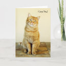 Search for love cats cards Sweet