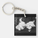 Search for cotton keychains Abstract