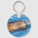Search for ecological keychains Wildlife